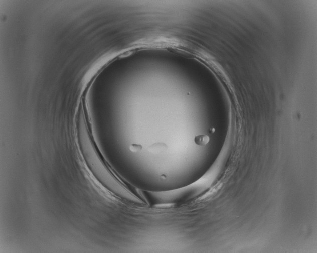 X0000067371344200603311136