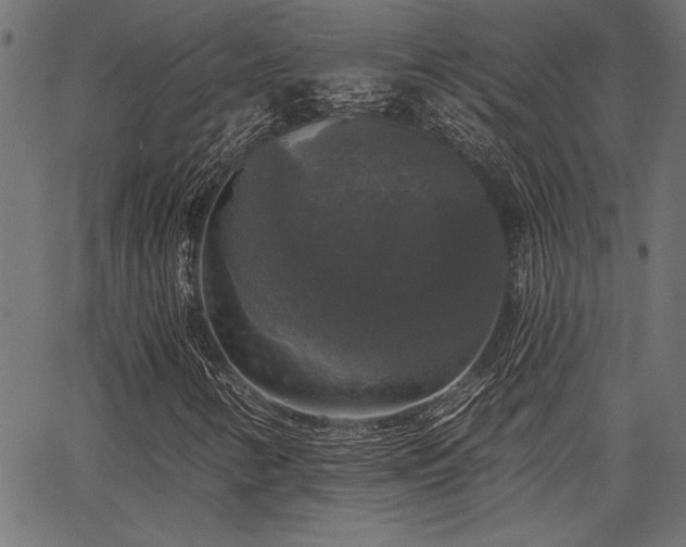 X0000067371346200603311135