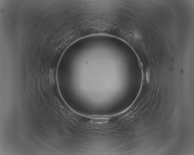 X0000067371347200603311135