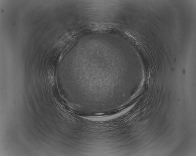 X0000067371348200603311135