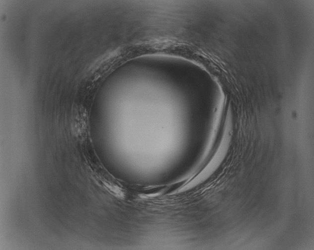 X0000067371349200603311135