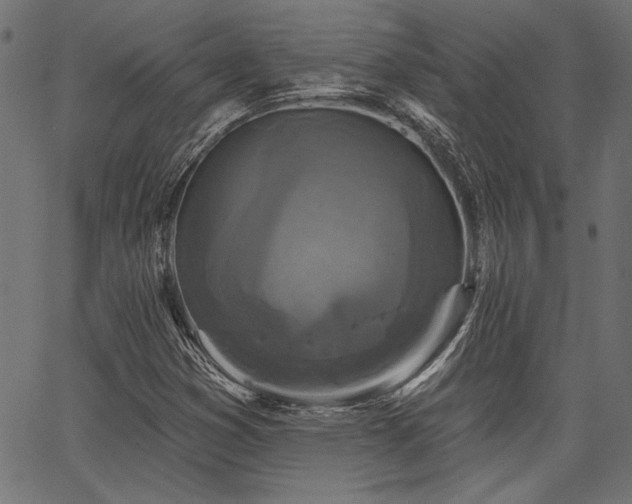 X0000067371353200603311135