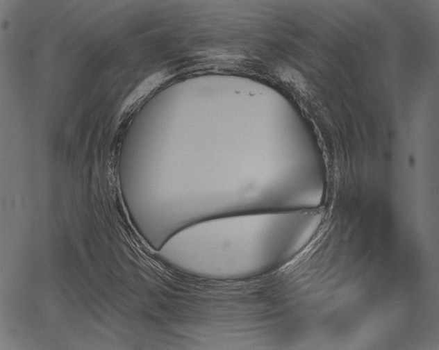 X0000067371354200603311135