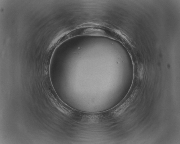 X0000067371355200603311135