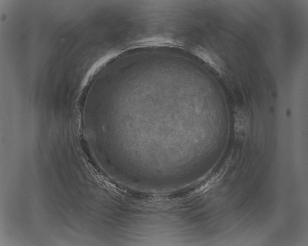 X0000067371358200603311135