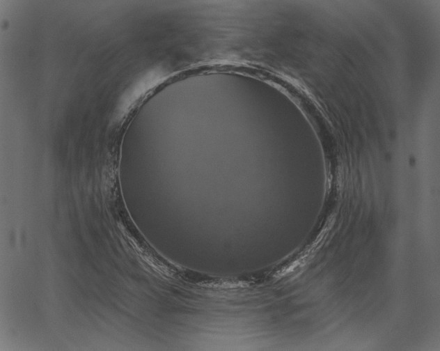 X0000067371359200603311135