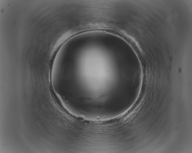 X0000067371365200603311135