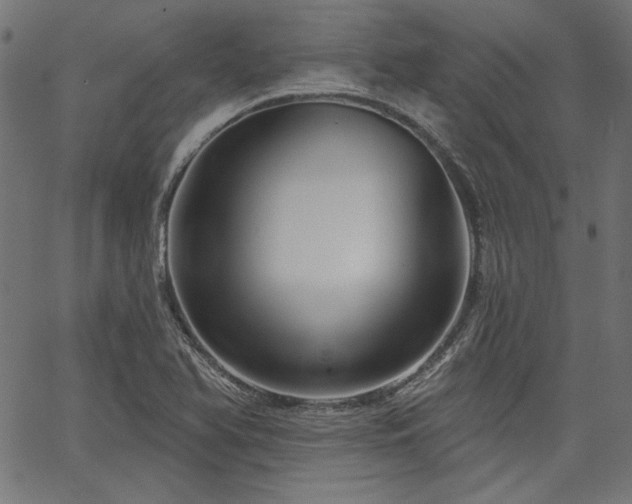 X0000067371366200603311135