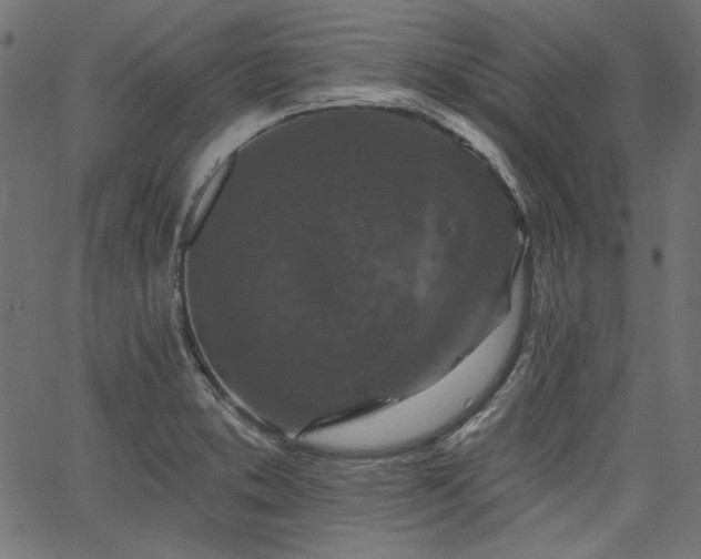 X0000067371373200603311134