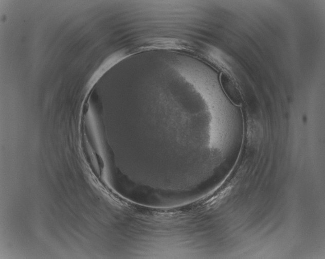 X0000067371378200603311134
