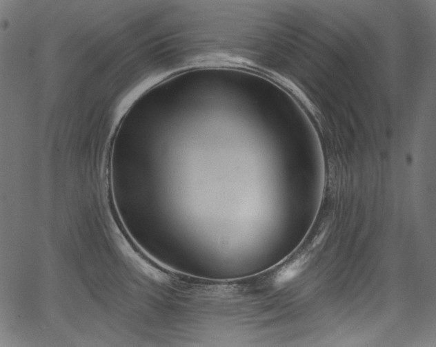 X0000067371387200603311134