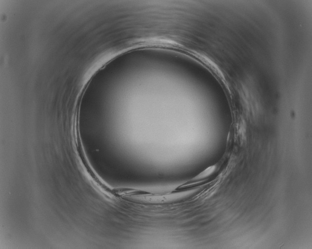 X0000067371391200603311134
