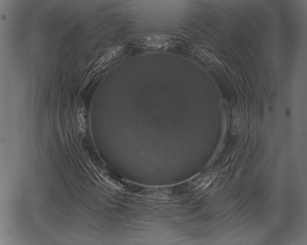 X0000067371394200603311133