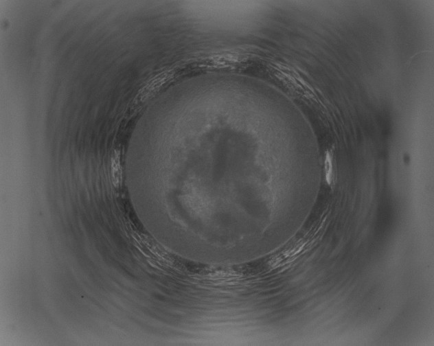 X0000067371395200603311133