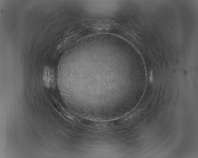 X0000067371396200603311133