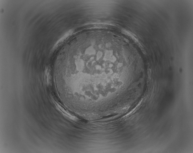 X0000067371403200603311134