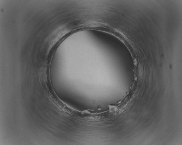 X0000067371410200603311134