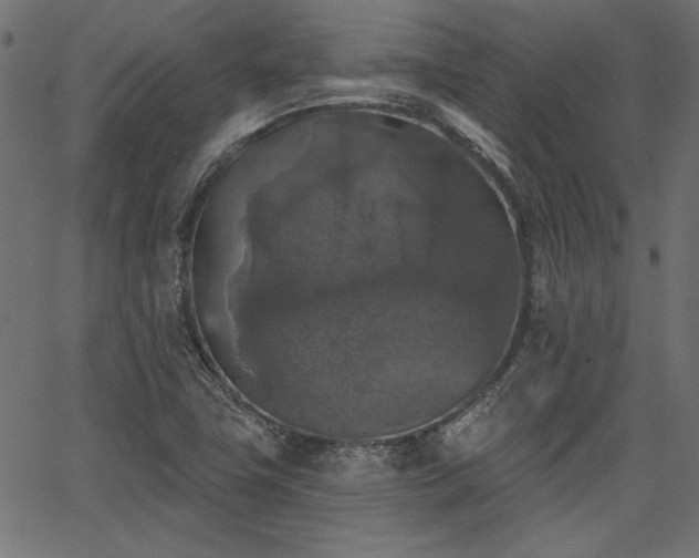 X0000067371411200603311134