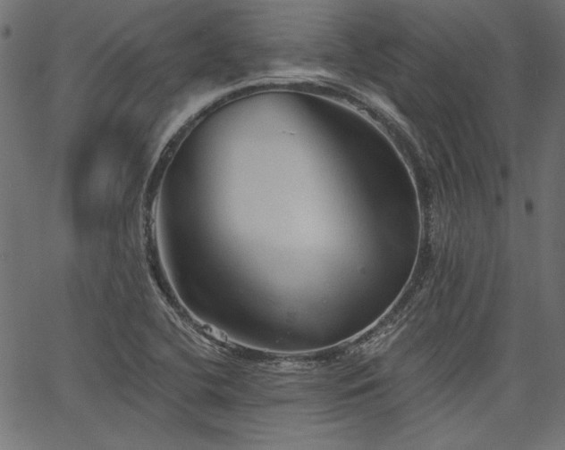 X0000067371412200603311134