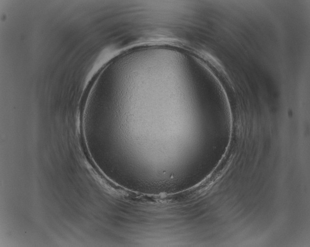 X0000067371420200603311134