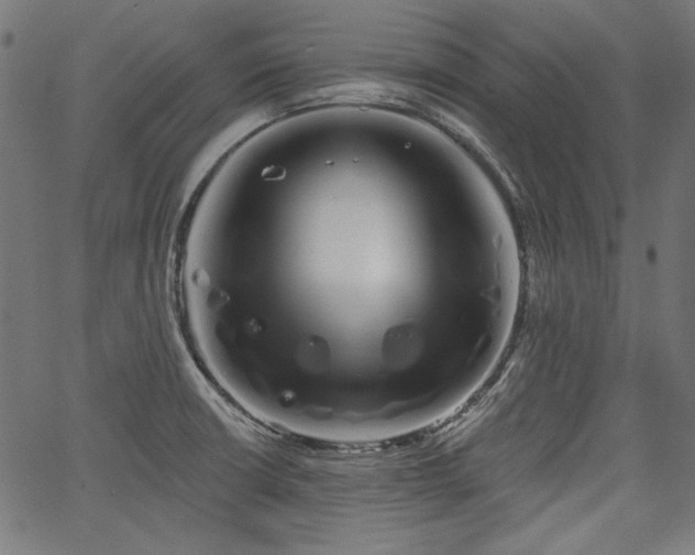 X0000067371426200603311134