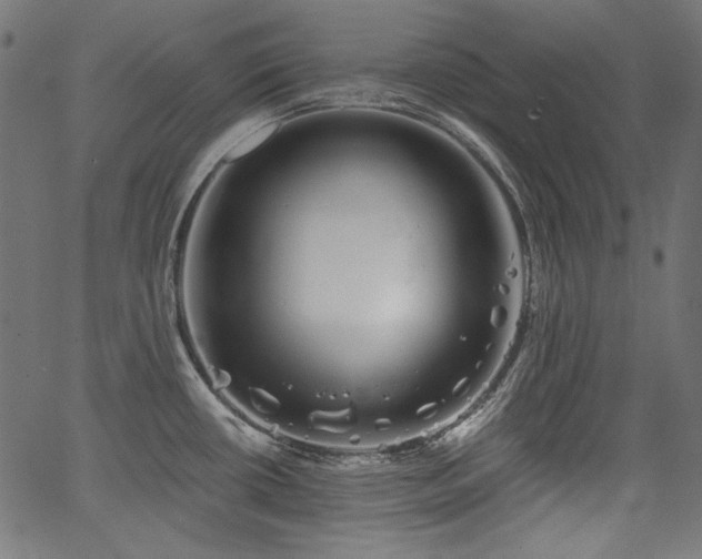 X0000067371434200603311134