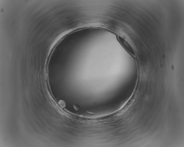 X0000067371436200603311134