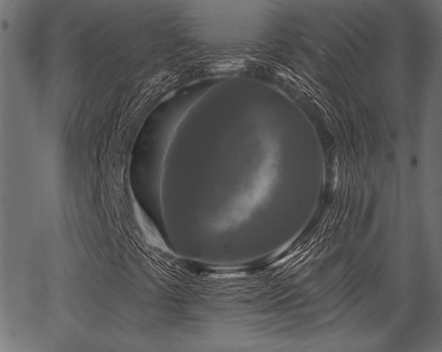 X0000067371441200603311133