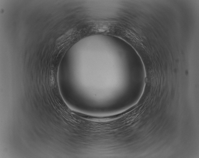 X0000067371442200603311133