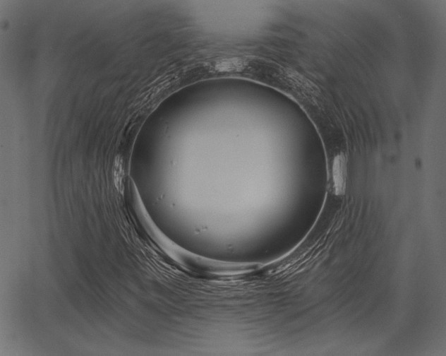 X0000067371443200603311133