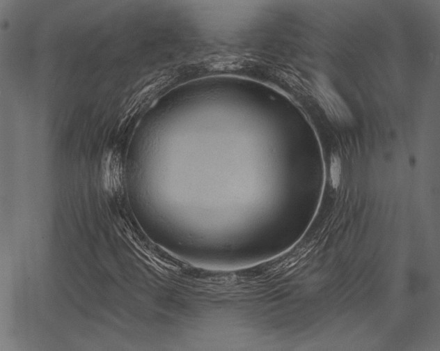 X0000067371444200603311133