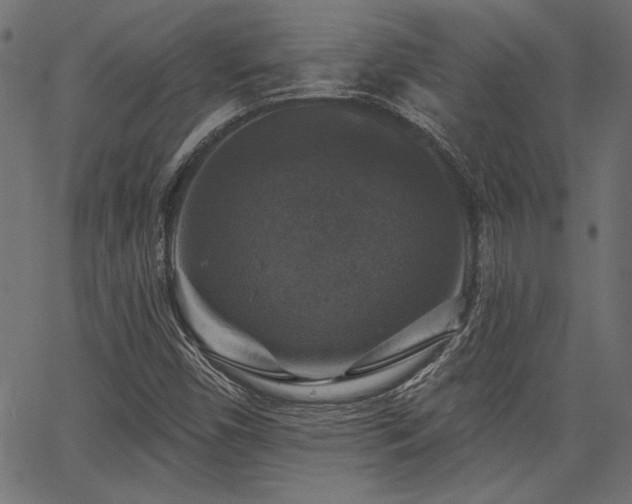 X0000067371450200603311133