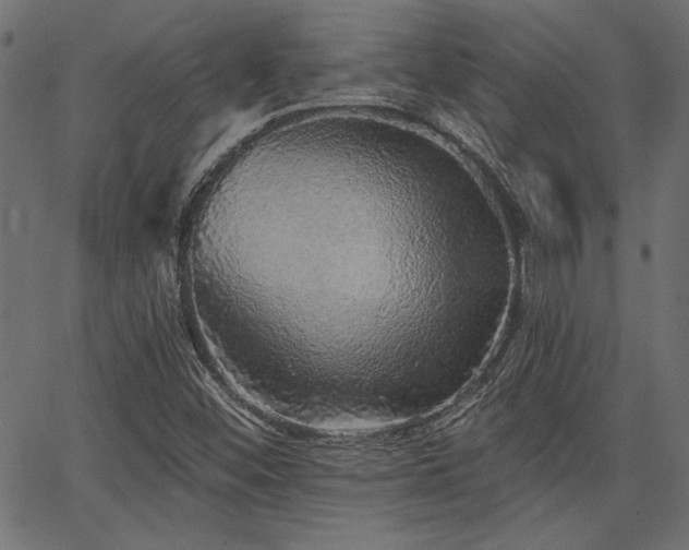 X0000067371452200603311133