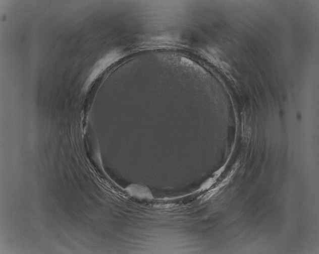 X0000067371453200603311133