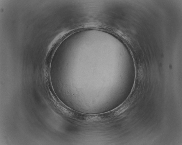 X0000067371454200603311133