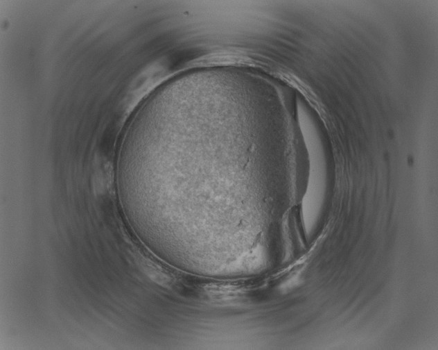 X0000067371465200603311133