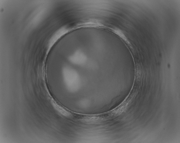 X0000067371474200603311133