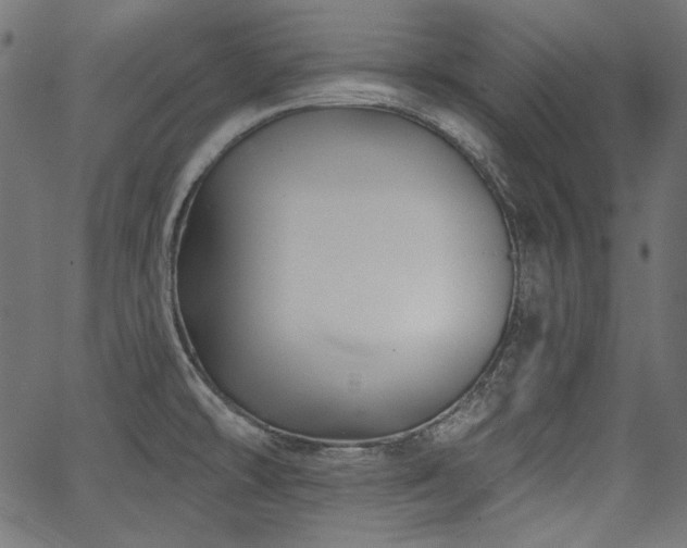X0000067371478200603311133