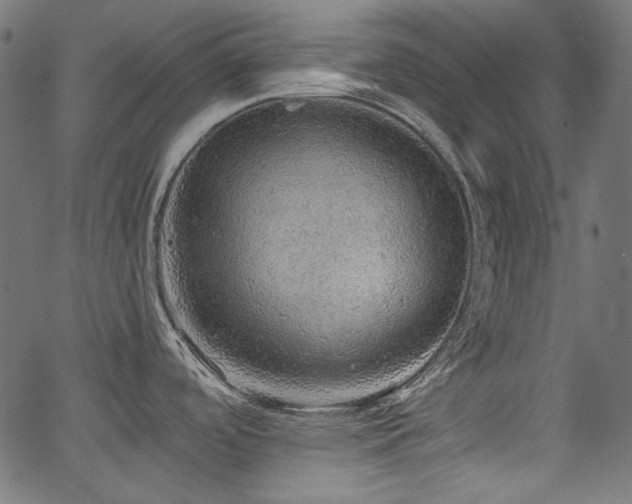X0000067371488200603311133