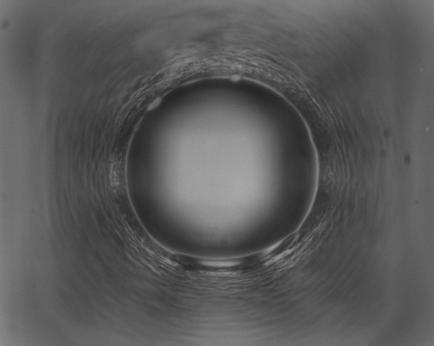 X0000067371490200603311132