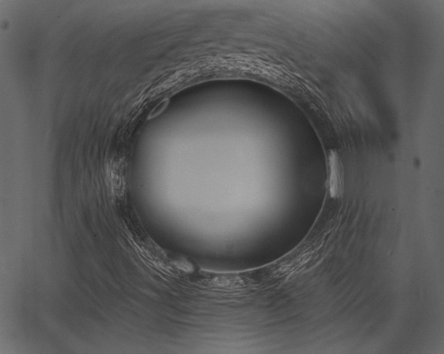 X0000067371491200603311132