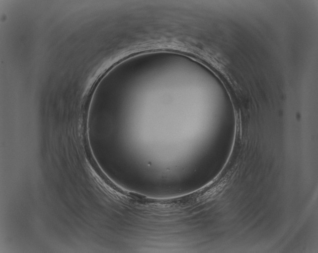 X0000067371500200603311132