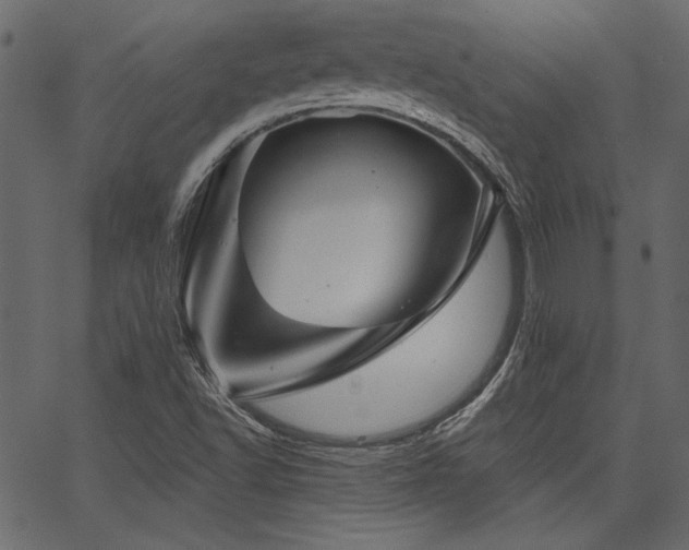 X0000067371502200603311132