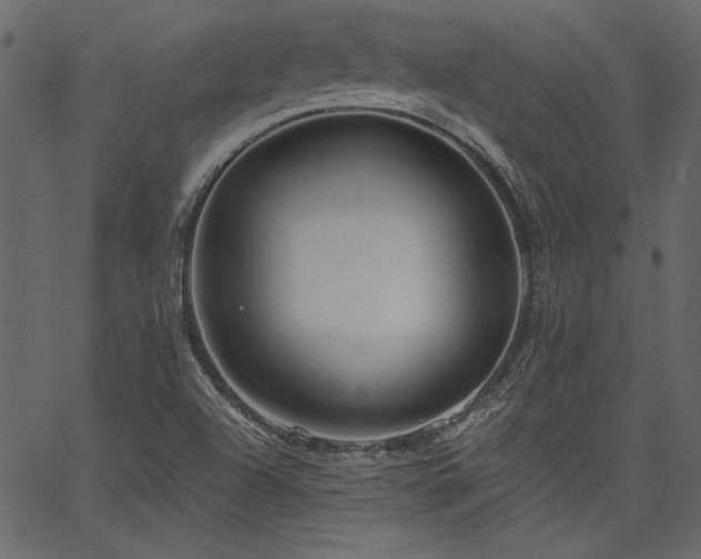 X0000067371504200603311132