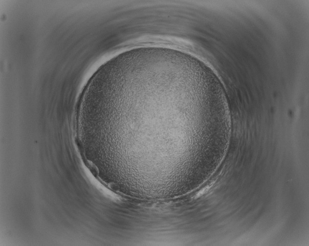 X0000067371531200603311133
