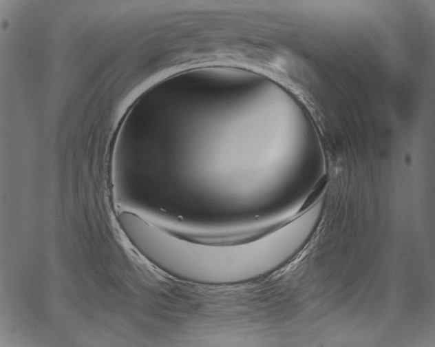 X0000067371534200603311133