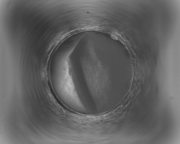 X0000067370002200604031045