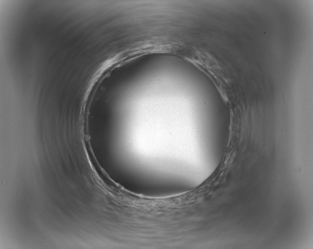 X0000067370003200604031045