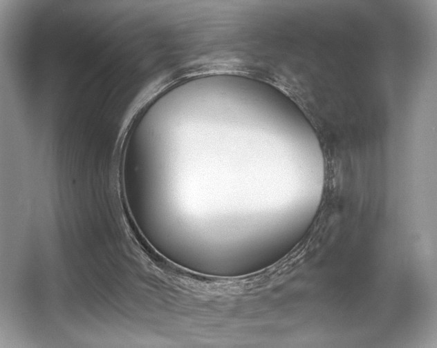 X0000067370004200604031045