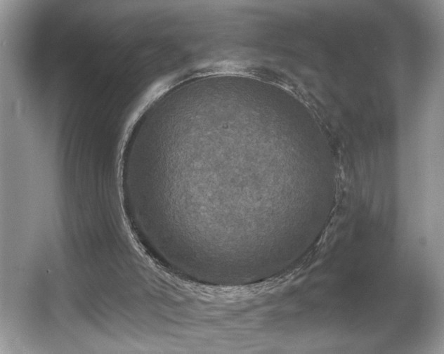 X0000067370006200604031045